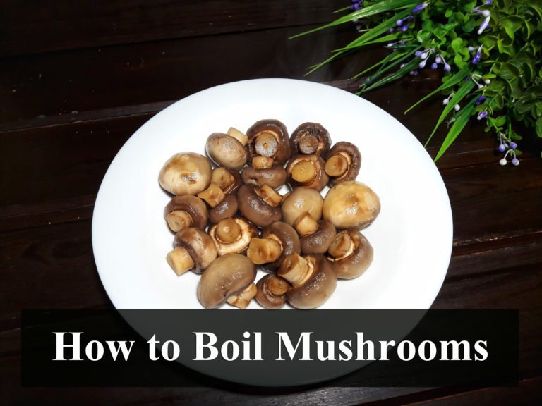 can mushrooms be boiled and eaten