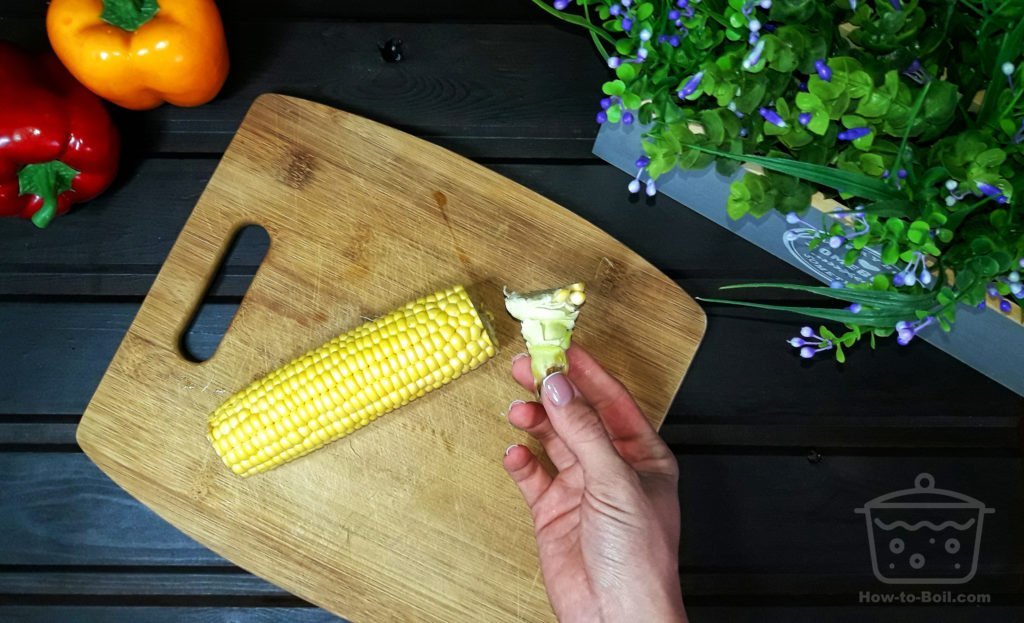 corn stalk