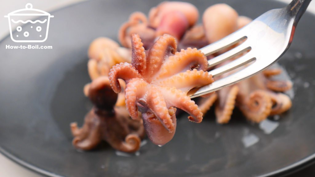 boiled octopus on a fork