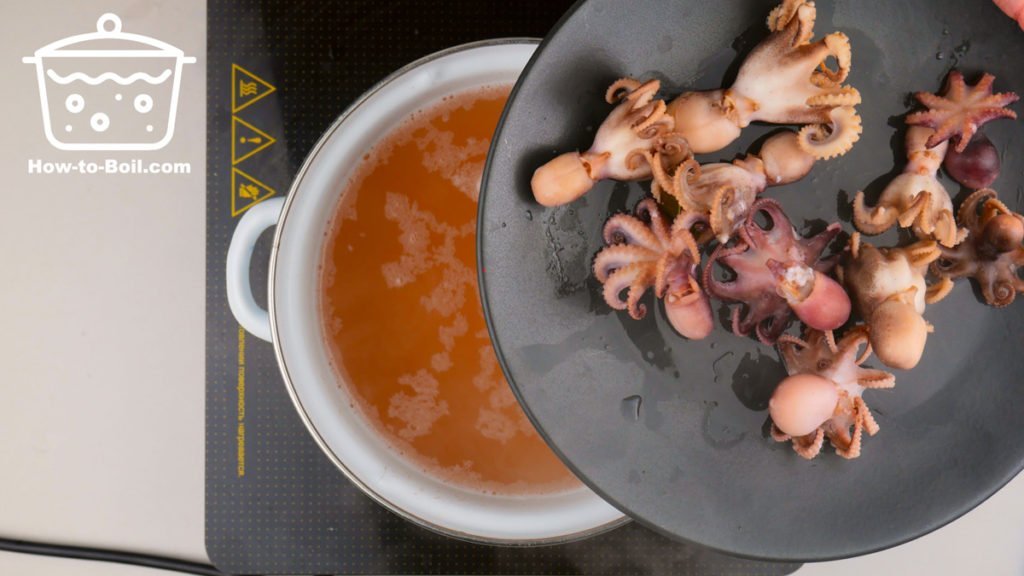 boiled octopus on the plate