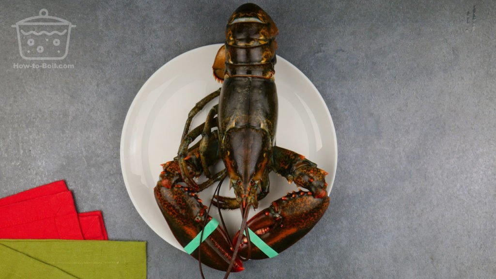 raw lobster on a plate
