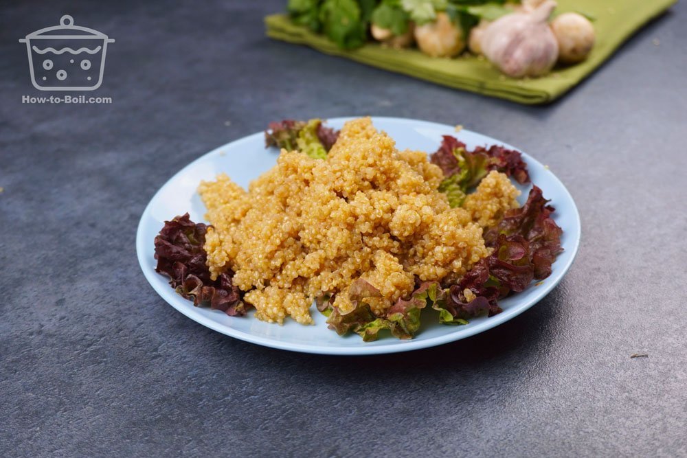 boiled quinoa on the plate