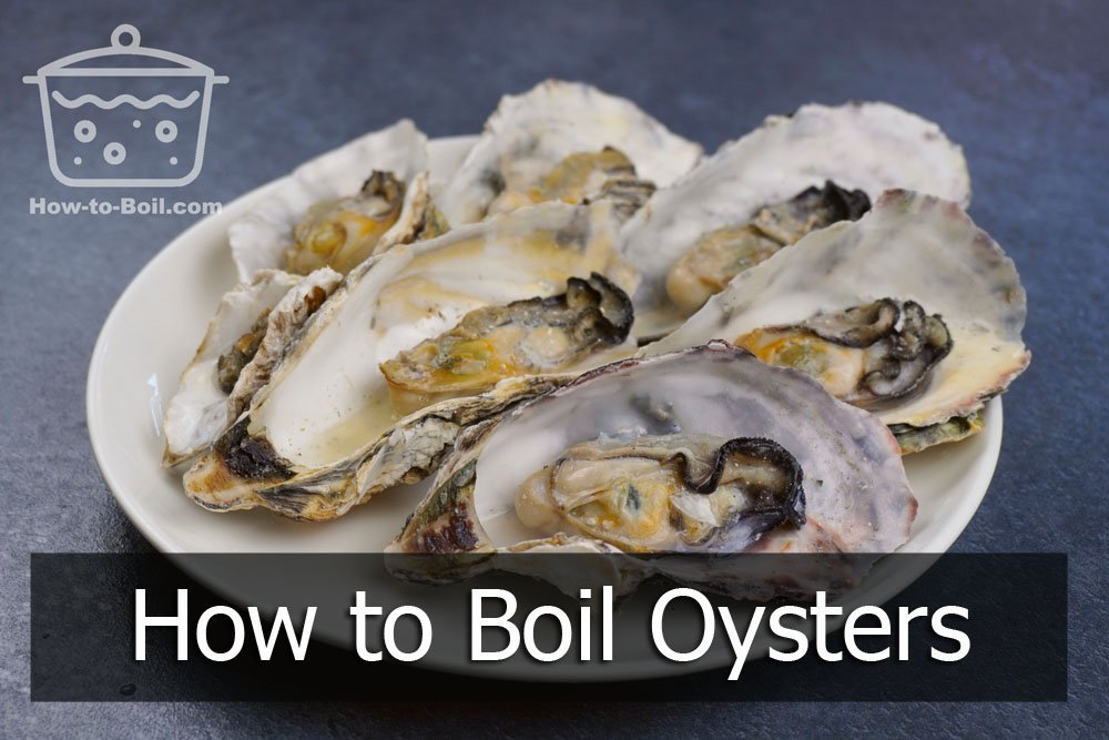 how to boil oysters