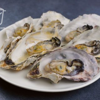 oysters